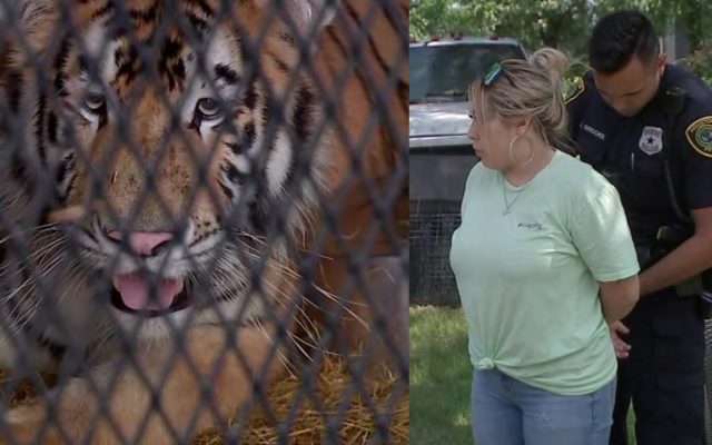 Owner of tiger found in abandoned Houston house charged