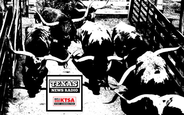 Texas News Radio — November 7, 2019 PM | KTSA Podcast