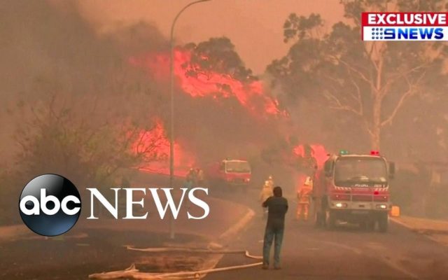 Australian wildfires may have killed half a billion animals and plants
