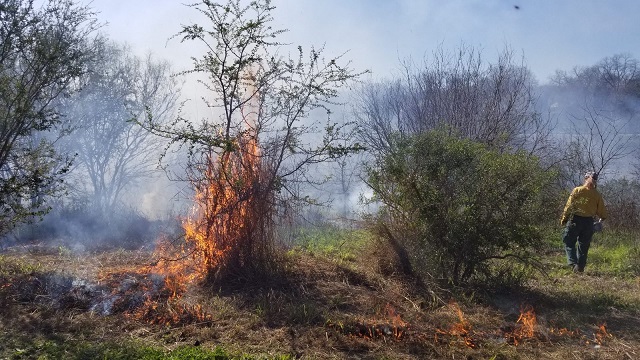 Control burn along part of San Antonio River Walk today