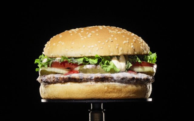 Burger King breaks the mold with new advertising campaign