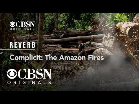 Complicit: The Amazon Fires