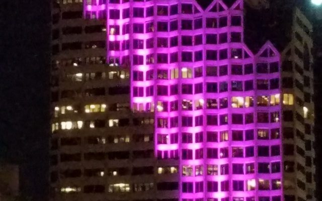 USAA goes purple for Military Kids Day