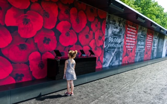 USAA honors fallen heroes with virtual poppy wall