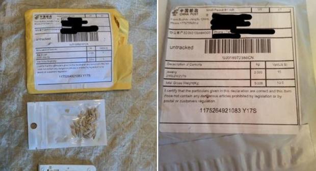 Some mystery seeds illegally sent from China identified