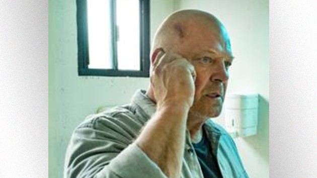 Michael Chiklis says fans of ‘The Shield’ and ‘Breaking Bad’ will like his new show, ‘Coyote’