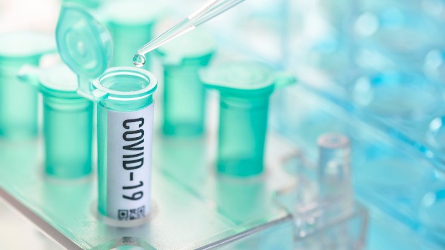 New antibody therapies may cut deaths, reduce exposure to COVID-19, data shows