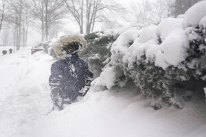 Gardening: How to protect or heal trees damaged by snow