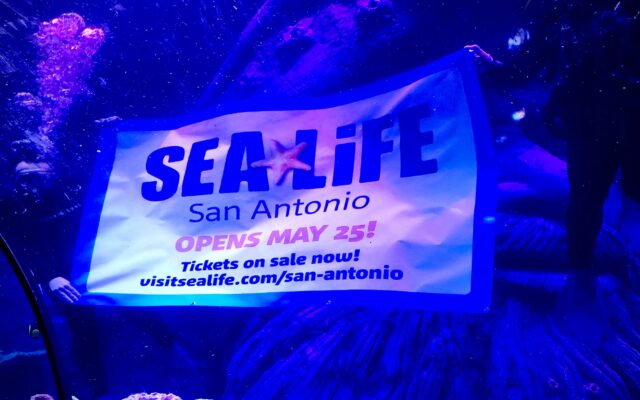 SEA LIFE San Antonio to open in May