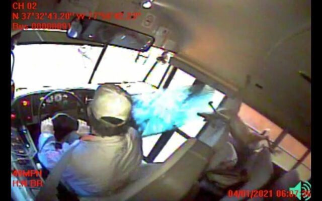 Watch: Deer crashes through school bus windshield, lands on student