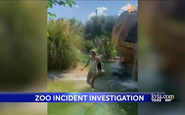 Texas zoo: Woman who entered monkey enclosure to be charged