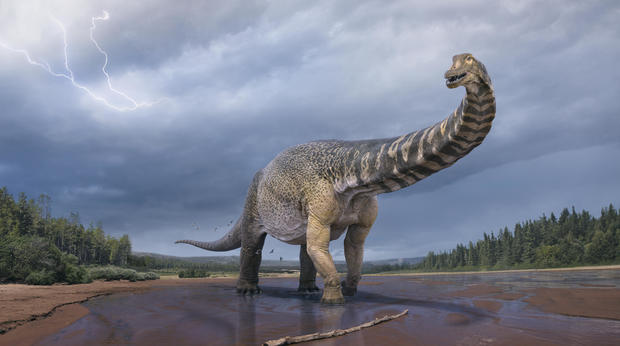 One of the world’s largest dinosaur species discovered in Australia