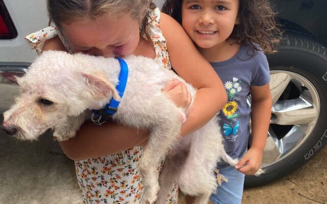 Dog missing since May returned to San Antonio family