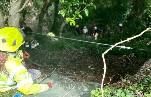Cat helps save 83-year-old English woman who fell into ravine