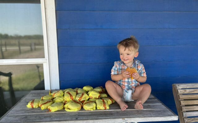 Texas two year old surprises mom when he orders 31 McDonald’s cheeseburgers through Door Dash