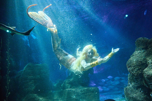 Mermaids to perform at SEA LIFE San Antonio