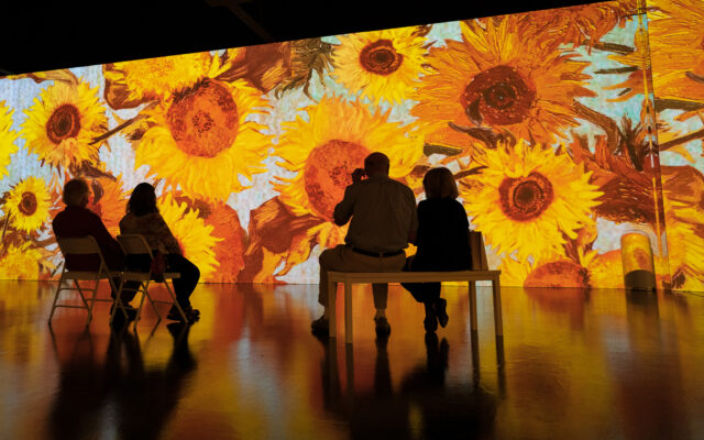 Immersive Van Gogh exhibit opens in San Antonio next week
