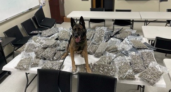 K9 Officer in New Braunfels sniffs out $400,000 worth of marijuana during traffic stop
