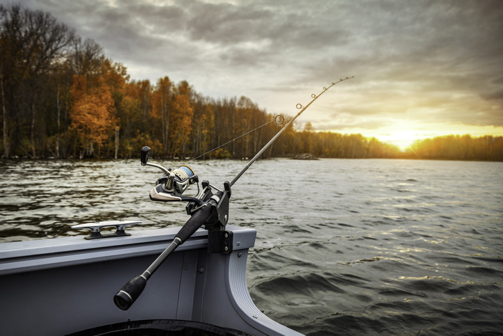 Hunting and fishing licenses for coming year now available
