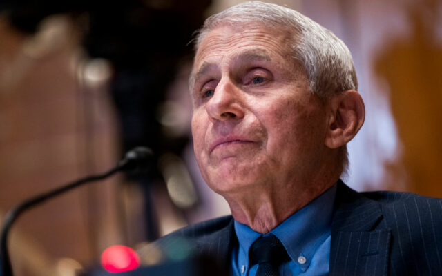 Republicans vow to investigate Fauci after he steps down in December