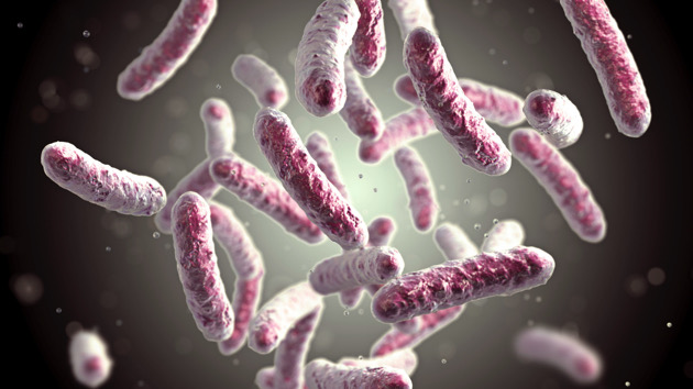 One dead, 11 sickened in Legionnaires’ disease outbreak in California county