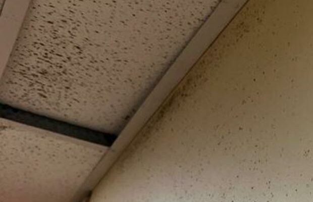 More than 1,100 soldiers at Fort Bragg living in mold-infested barracks