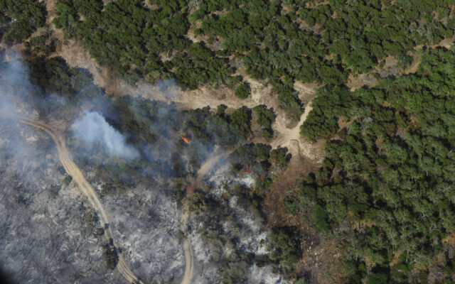 Texas wildfire activity remains high during continued dry conditions