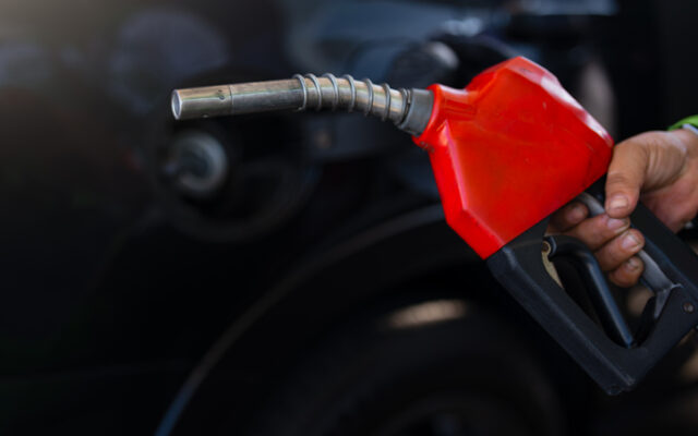 AAA Texas: State gas price average holds steady, downward trend possible as crude oil prices tumble