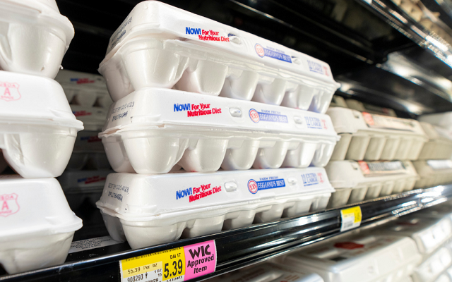 Texas egg prices plummet as supplies outpace demand