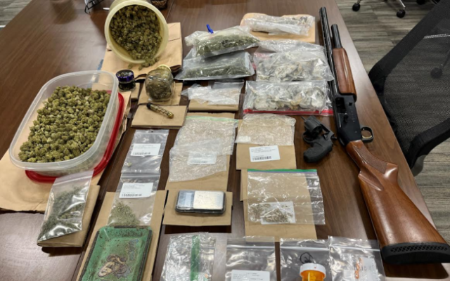 Canyon Lake man arrested, drugs and guns seized in bust