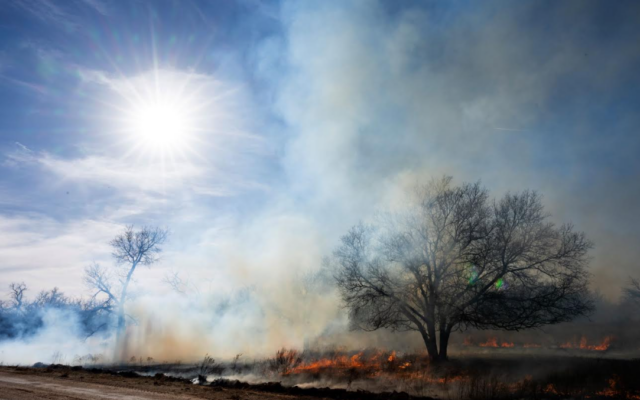 Texans should stay prepared as extreme wildfire danger increases, Texas A&M Forest Service