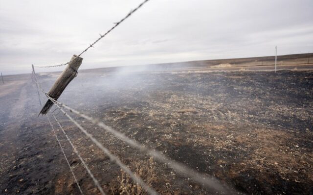 Preliminary Texas Panhandle wildfire agriculture losses top $123 million, costliest in state history